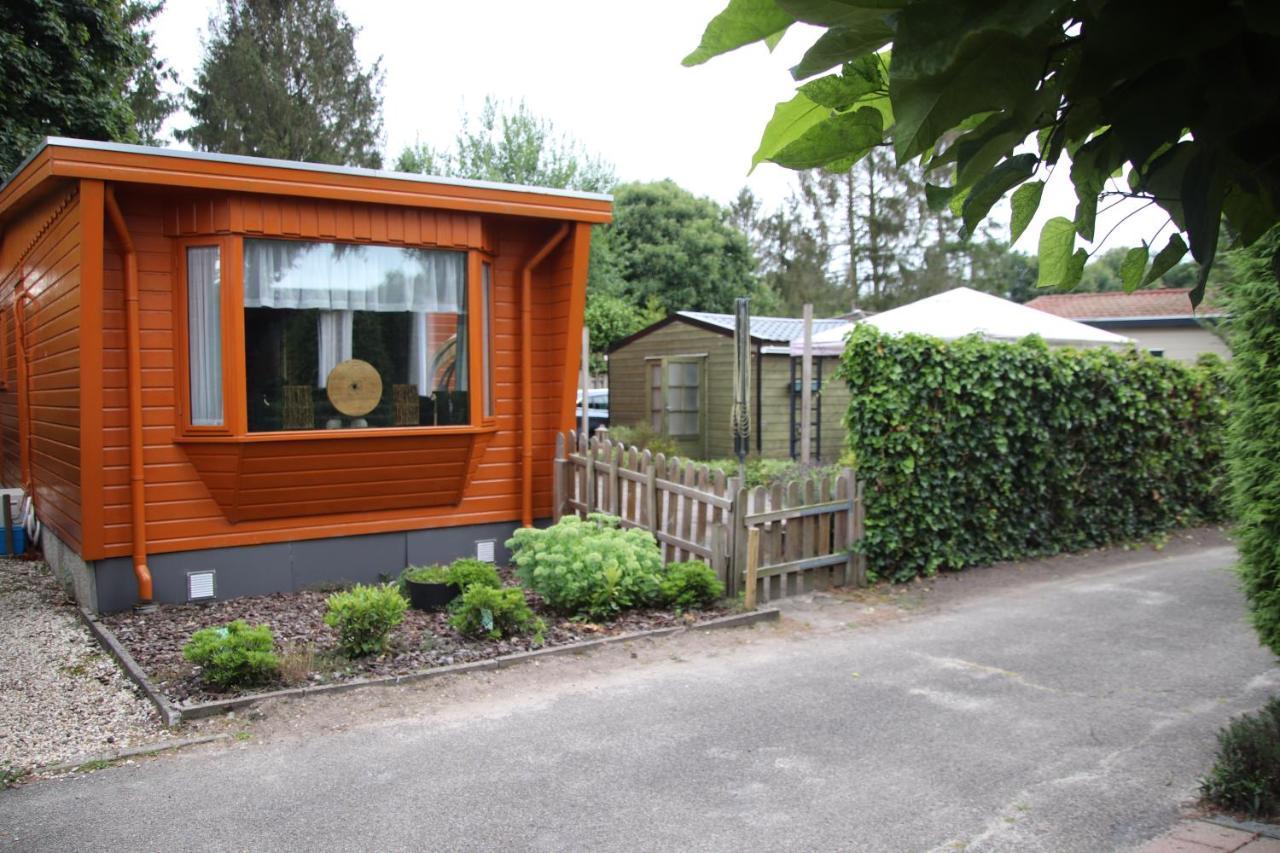 Veluwe Park Reewold Chalet Eclipse Putten Ngoại thất bức ảnh
