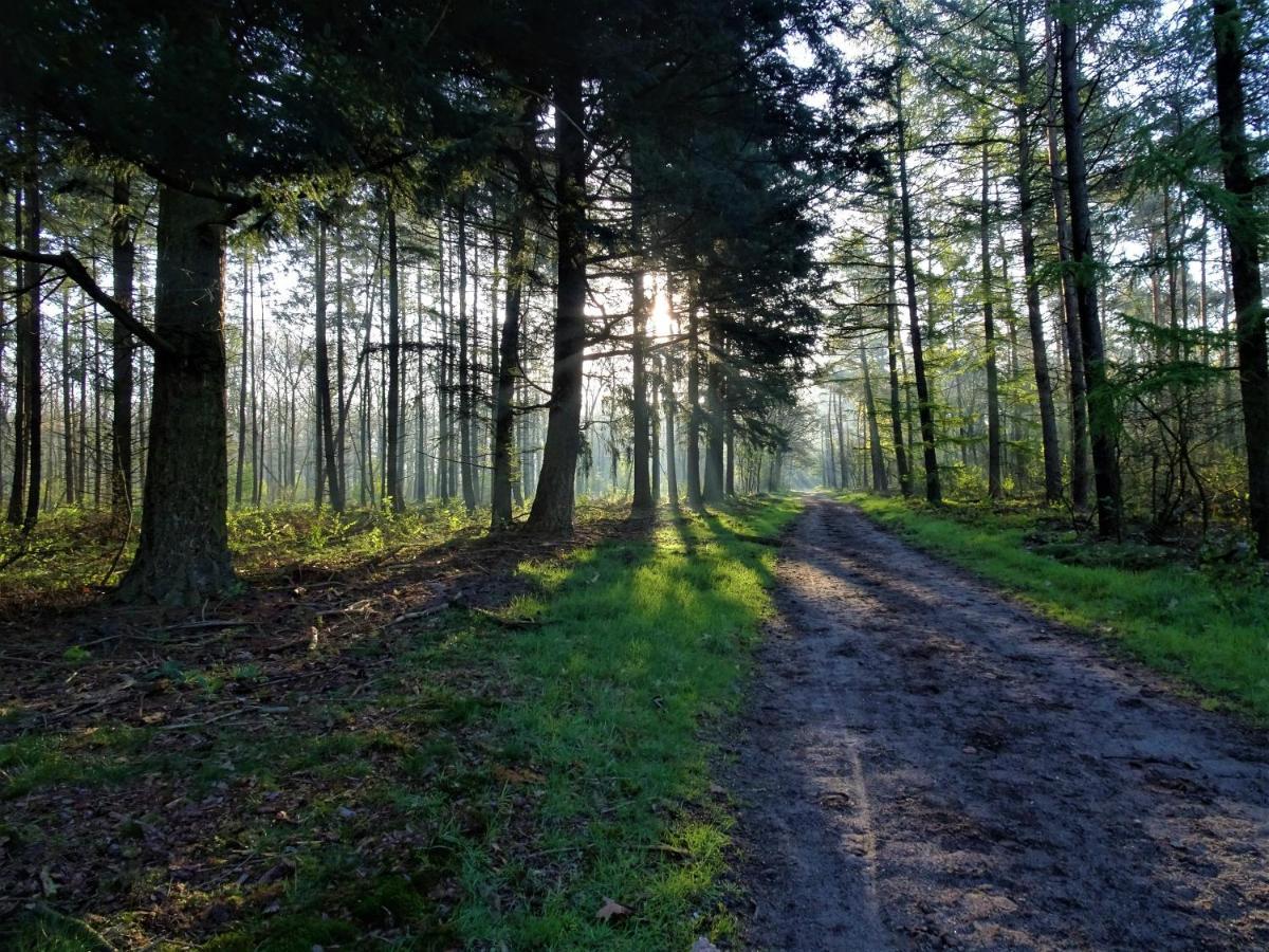 Veluwe Park Reewold Chalet Eclipse Putten Ngoại thất bức ảnh