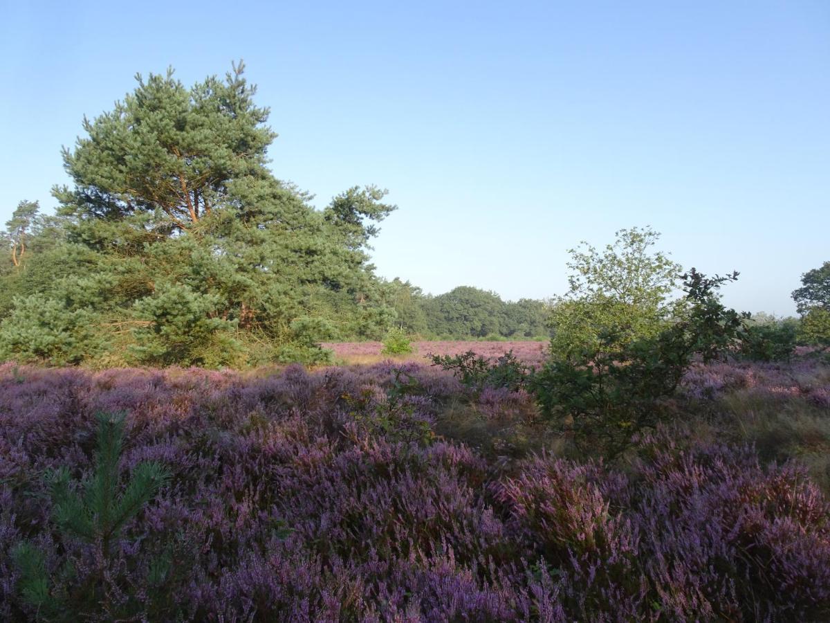 Veluwe Park Reewold Chalet Eclipse Putten Ngoại thất bức ảnh